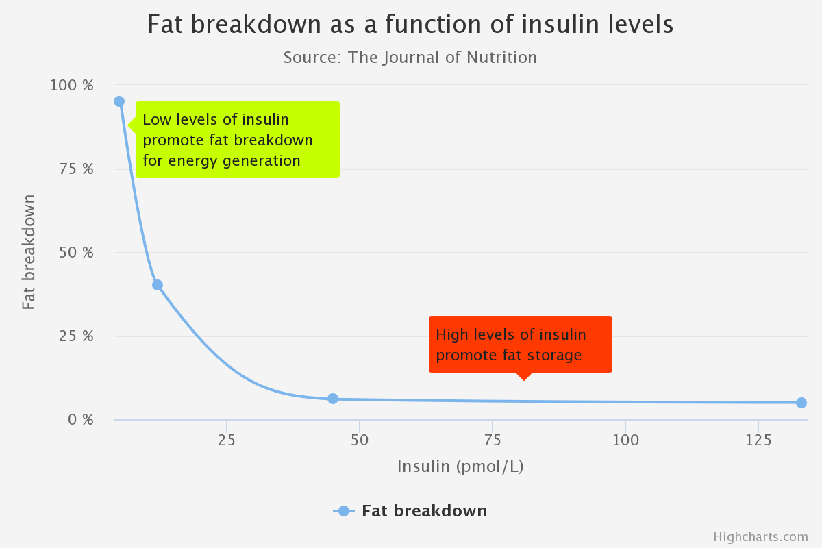 Fat breakdown as a function of insulin levels