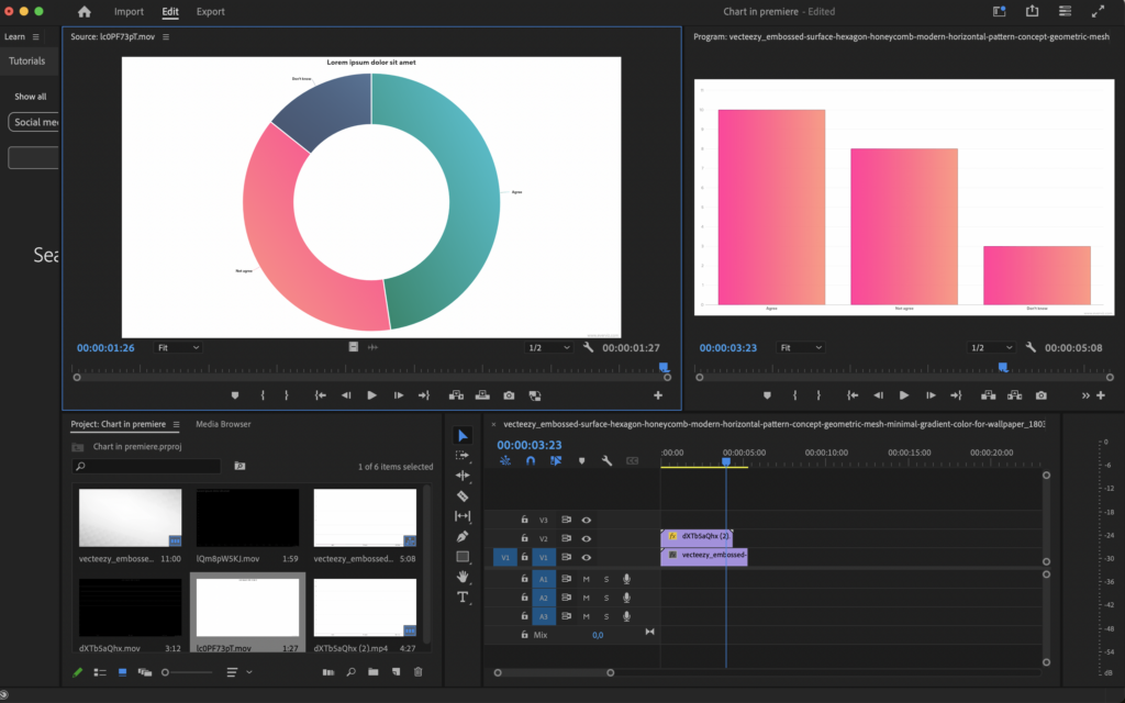 Screenshot from  Adobe Premiere. Donut and bar chart side by side